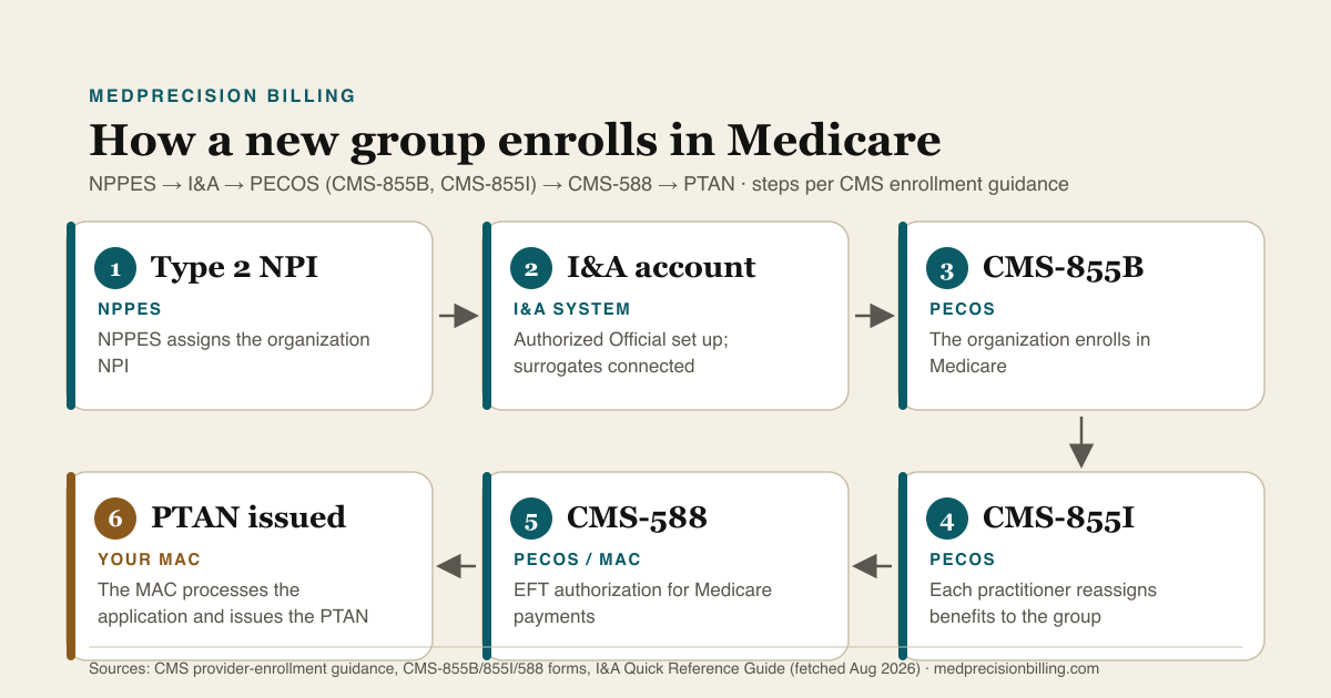 Six-step diagram of how a new group enrolls in Medicare: NPPES assigns the Type 2 NPI, the Authorized Official is set up in the I&A system, the organization enrolls through PECOS on CMS-855B, each practitioner reassigns benefits to the group on CMS-855I, CMS-588 authorizes EFT payments, and the MAC processes the application and issues the PTAN.